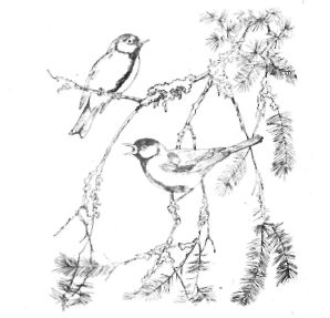 Decorative painting on birch bark. Birds