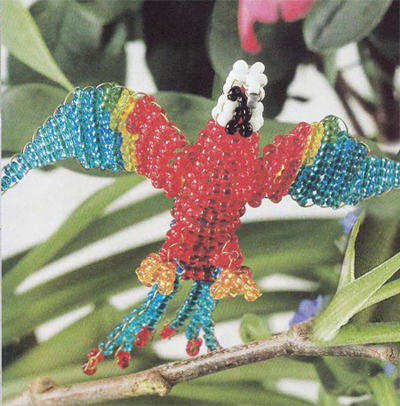 Parrot common parrot with a long tail beaded