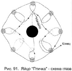 Сувенірна яйце «Пташка»