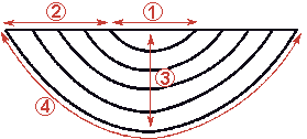 Smad, parecida, asymmetric Smad and other elements of the pelmet