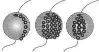 The technique of braiding beads