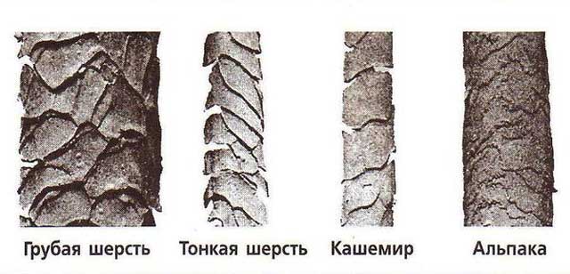 шерсть под микроскопом