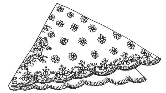 Embroidered scarf