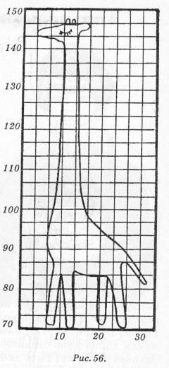 Giraffe with centimeter