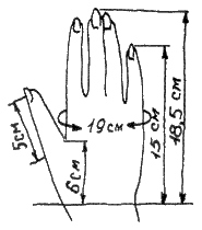 Снятие мерок (длина и окружность кисти)