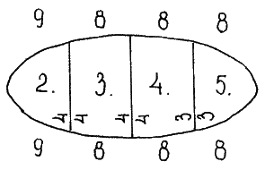 Схема распределения петель