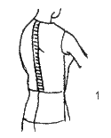 Длина спины до талии