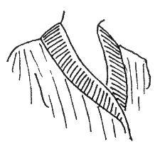 Lesson 33. Varieties of sleeves